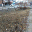 В Карталах продолжаются рейды по городу - Карталинская новь