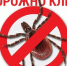 hIOfzxi-c6A.jpg - Карталинский район
