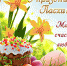 FweTVdXWmUS5LbU0dBKN_8LHdW1e-fkIvxOJDVCPzuHnD9Ug-psom3suucd5CEQf-x0YfRwgqD9YBq6rlNFMAuYw.jpg - Карталинский район