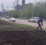 🌱 В Карталах появится газон. Его засеют на одной из городских клумб. - Карталинская новь