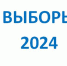 Выборы - Карталинская новь