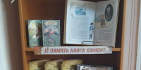 Бессмертный книжный полк - ЦБС г. Карталы