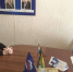 Депутатский центр - Карталинская новь