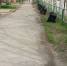 субботники - Карталинская новь