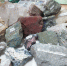 IMG_20260410_160033.png - Управление образования