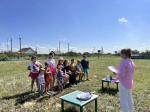 Литературно спортивная программа «Незнайка на улице или День ГИБДД»
